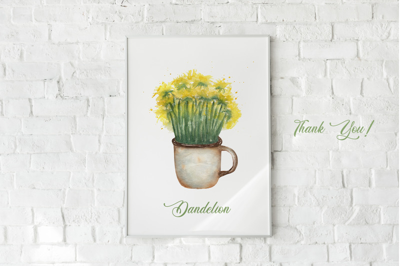 dandelion-beauty