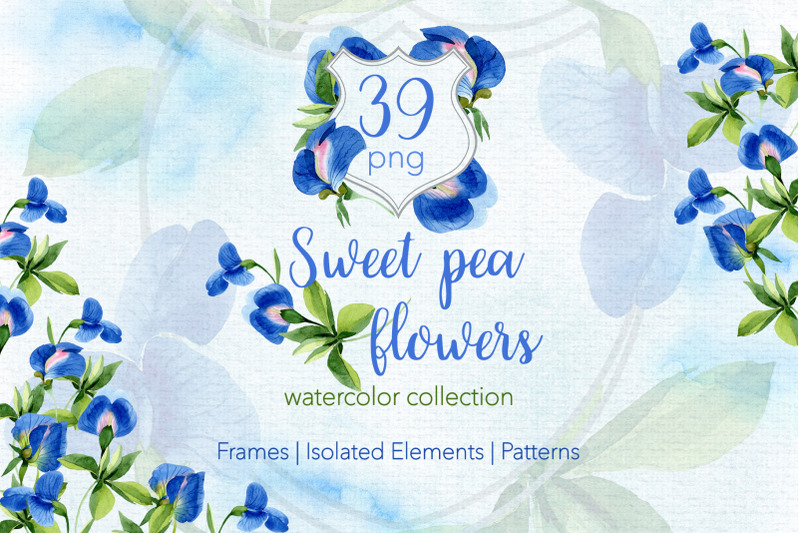 sweet-pea-flowers-watercolor-png