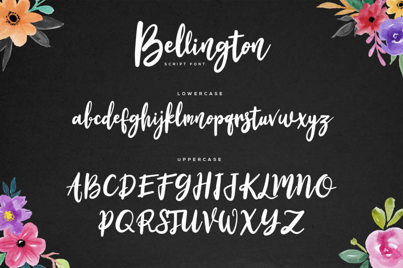 bellington-script-font-bonus