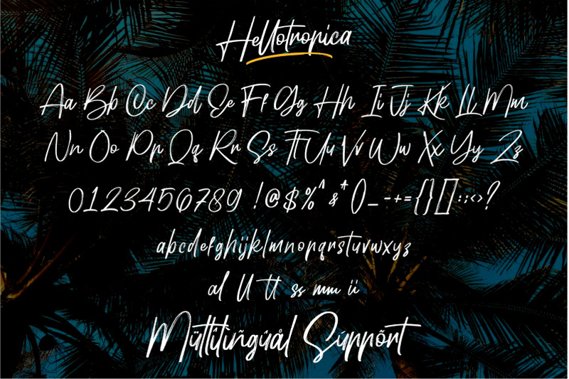 Hellotropica By Garisman Studio | TheHungryJPEG