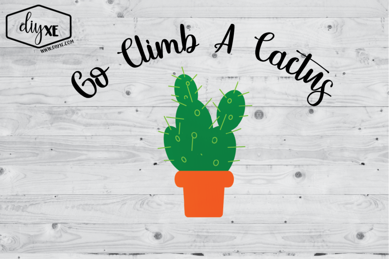 go-climb-a-cactus