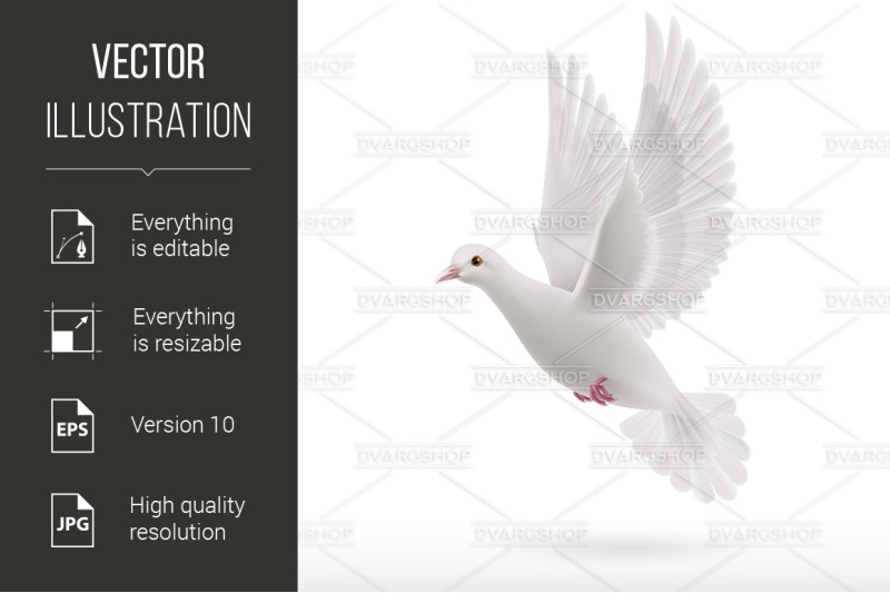 white-dove