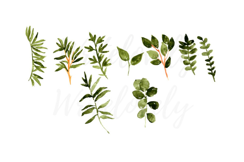 watercolor-floral-greenery-clipart