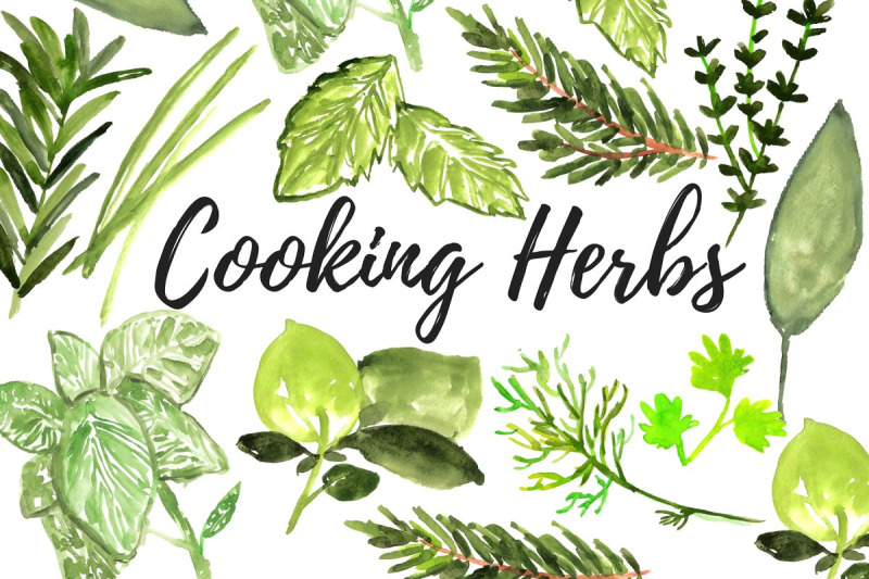 watercolor-cooking-herbs