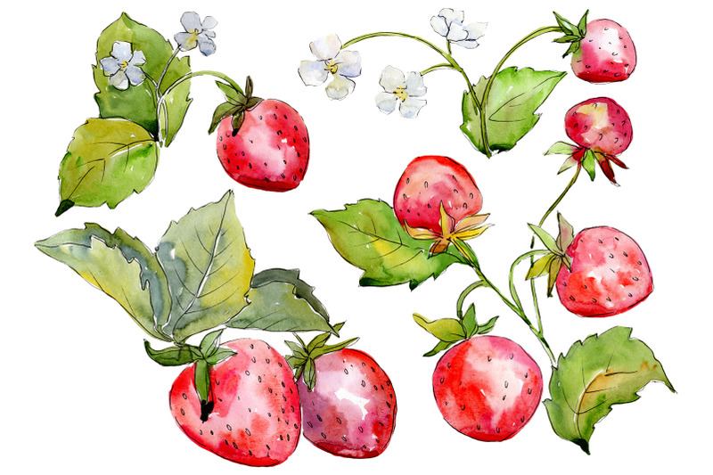 juicy-strawberry-watercolor-png