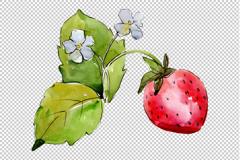 juicy-strawberry-watercolor-png