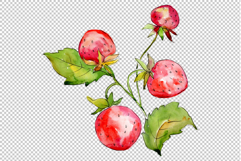 juicy-strawberry-watercolor-png