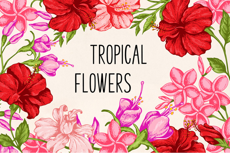 tropical-flowers-design-kit