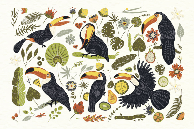 toucan-folk-art-graphic-set