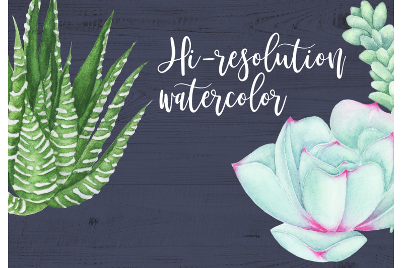 watercolor-succulents-clipart