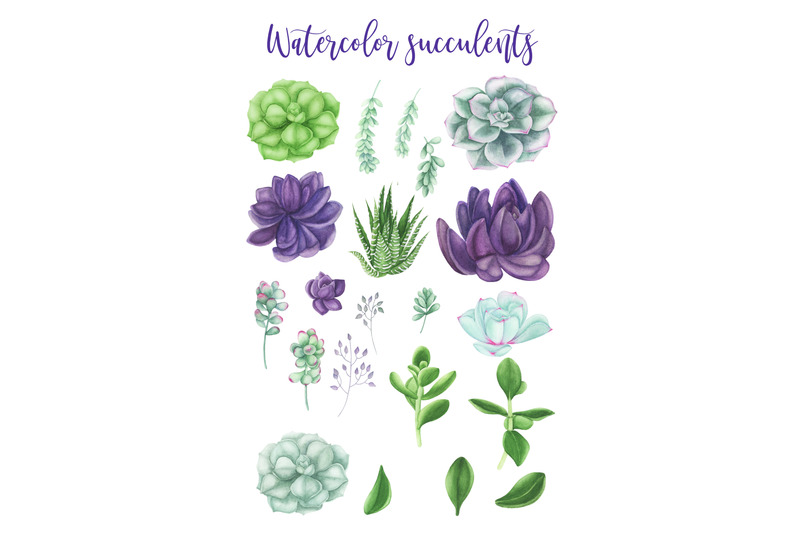 watercolor-succulents-clipart