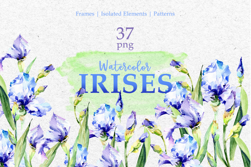 blue-watercolor-irises-png-set