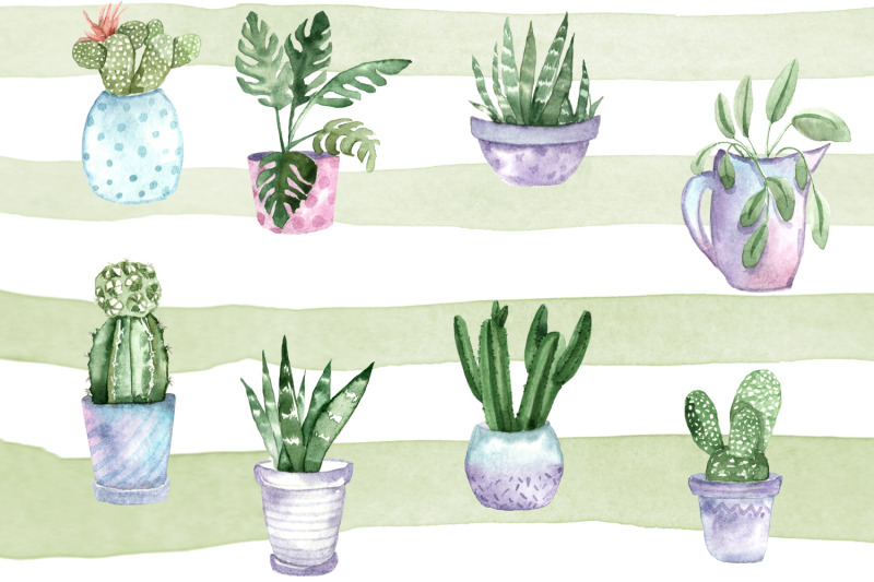 potted-cactus-succulent-watercolor