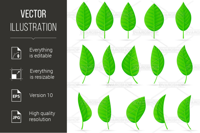 various-types-and-shapes-of-green-leaves