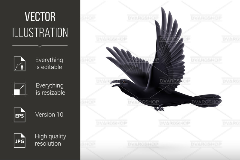 black-raven-on-white-background