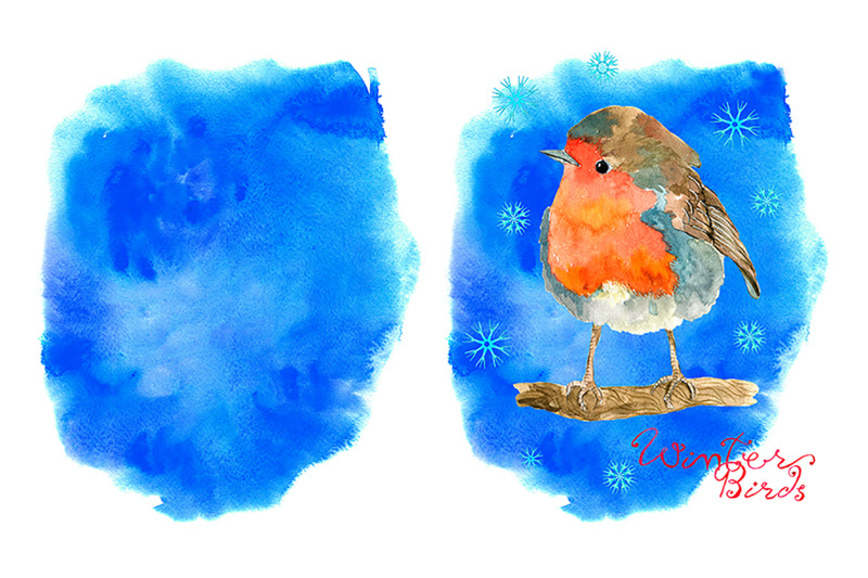 winter-birds