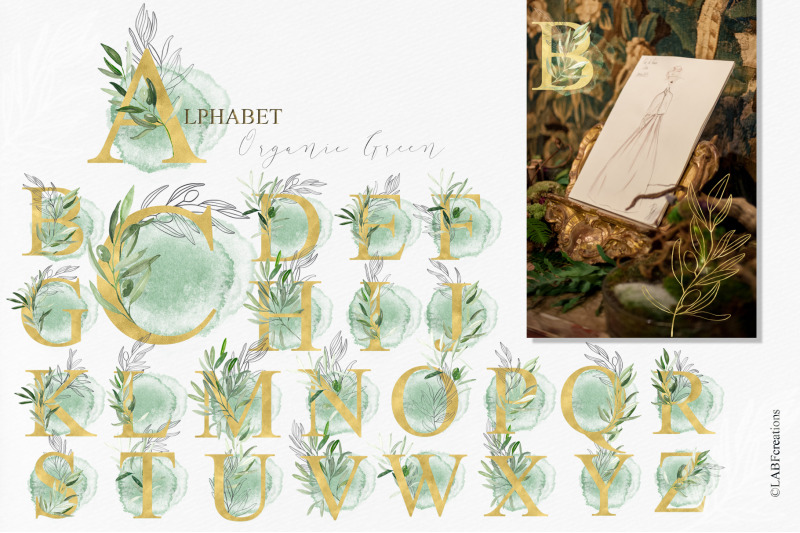 olive-organic-green-watercolor-clipart