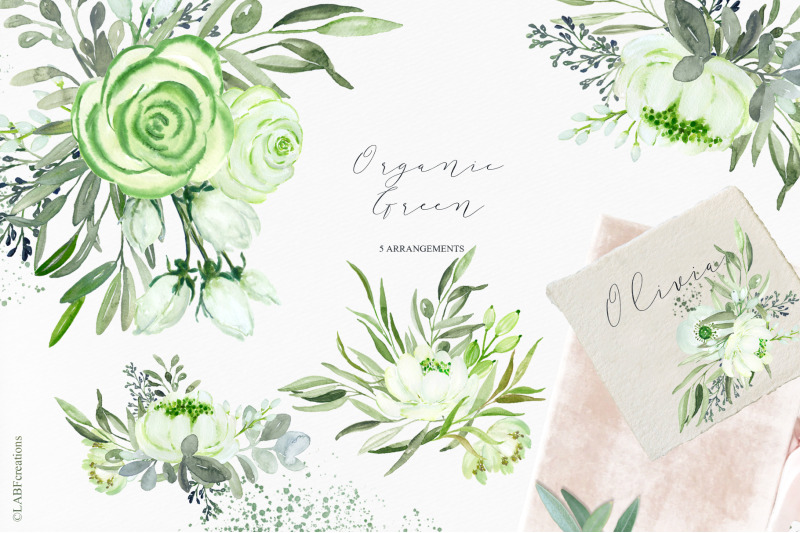 olive-organic-green-watercolor-clipart