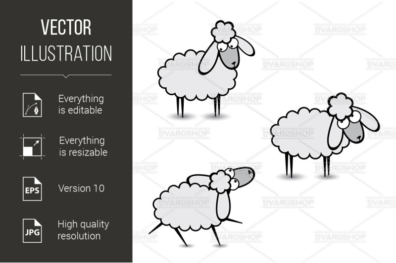 gray-sheep