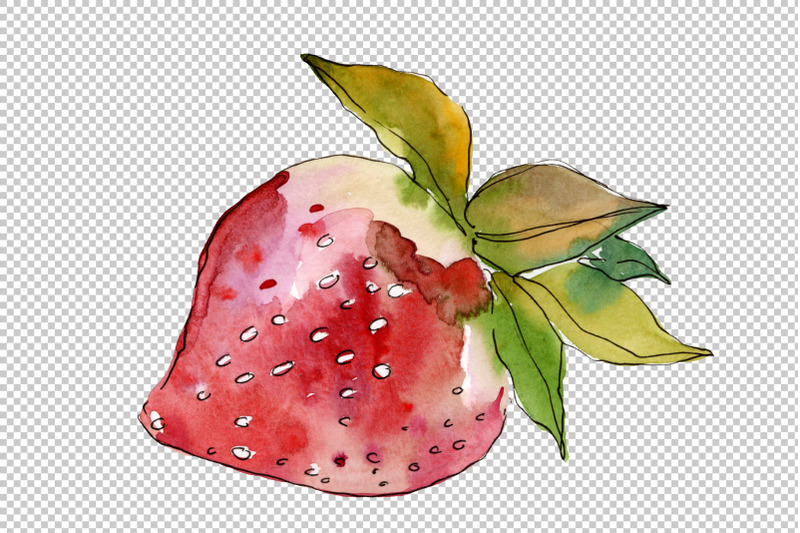 berry-strawberry-watercolor-png