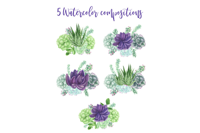 watercolor-succulents-compositions