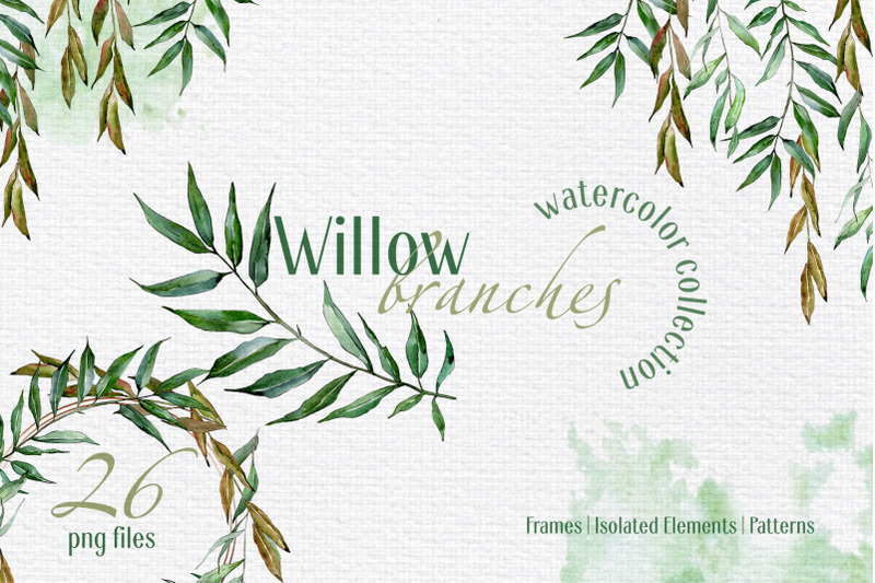 willow-branches-watercolor-png