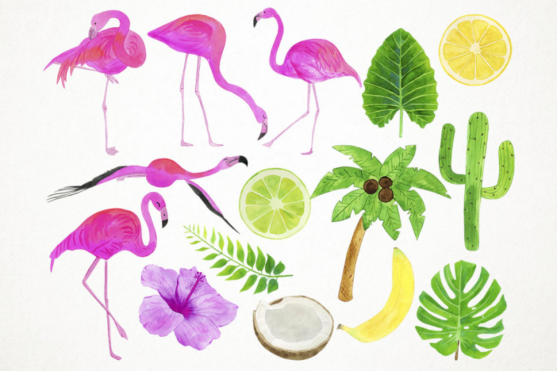 watercolor-flamingos-clipart-flamingo-clip-art
