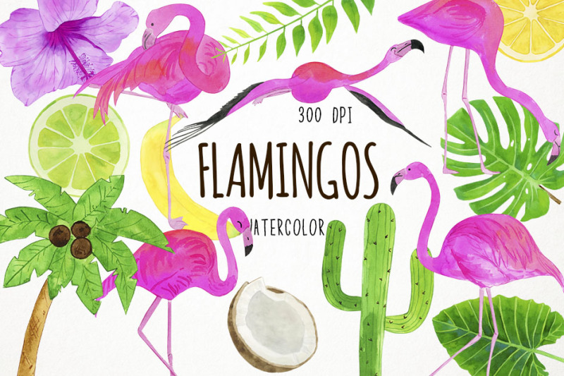 watercolor-flamingos-clipart-flamingo-clip-art