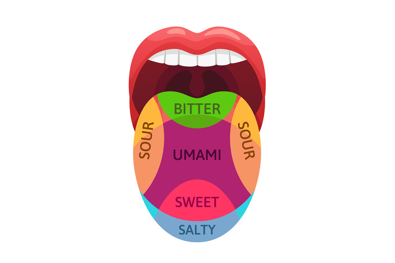 human-tongue-taste-zones-sweet-bitter-and-salty-tastes-receptors-ta