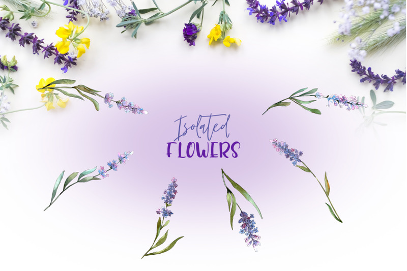 plant-lavender-purple-watercolor-png