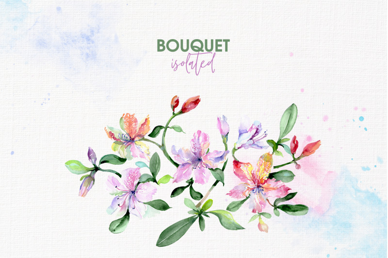 bouquets-with-alstroemeria-watercolor-png