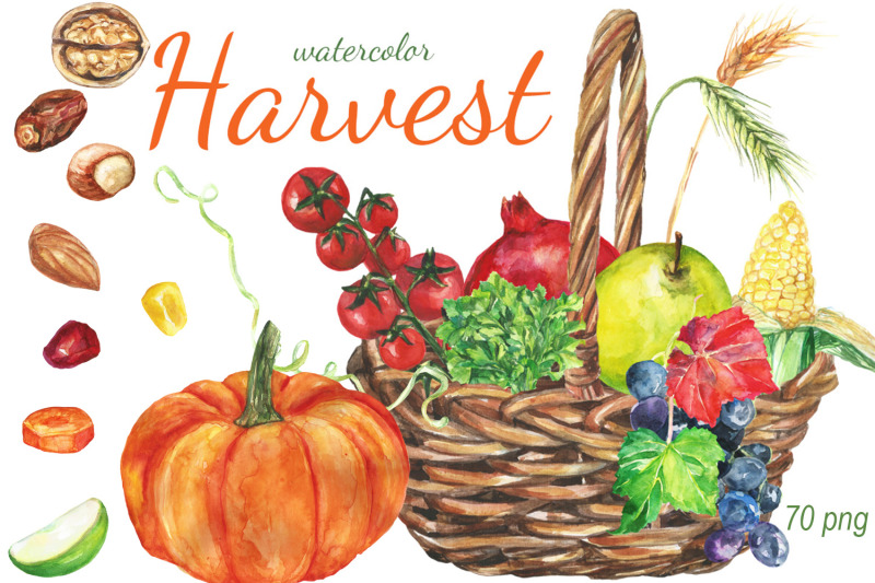 watercolor-harvest-clip-art