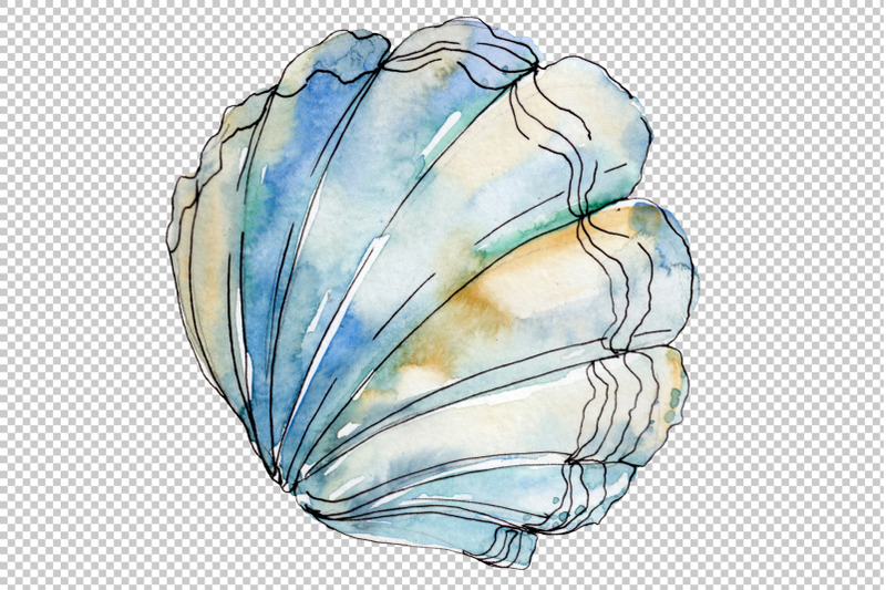 sea-shells-watercolor-png