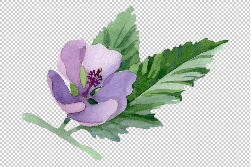 herbals-watercolor-png