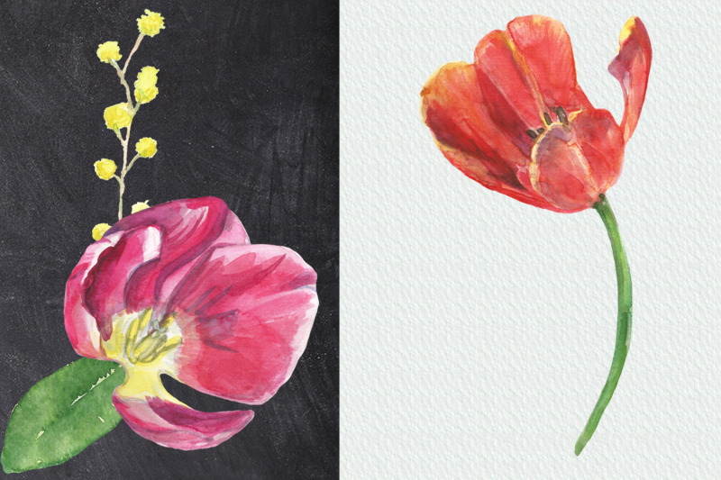 watercolor-tulips-clip-art
