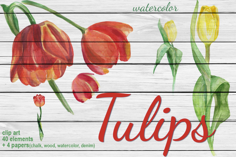 watercolor-tulips-clip-art