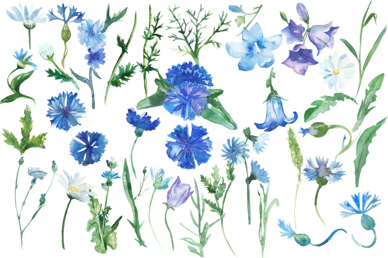 watercolor-wild-flowers-clip-art