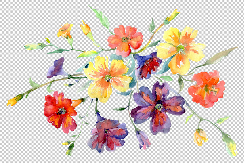 bouquet-flower-boom-watercolor-png