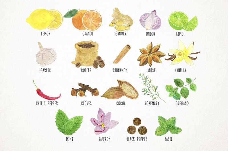 watercolor-herbs-clipart-spices-clipart-herbs-amp-spices-clipart