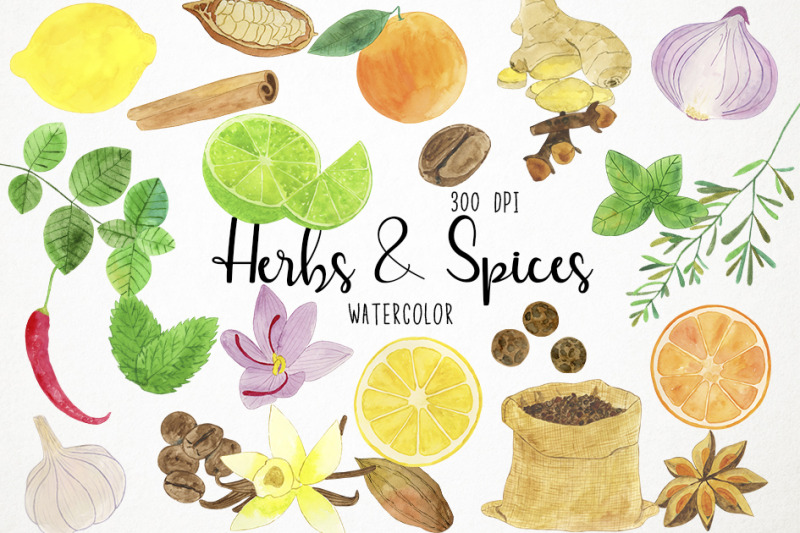 watercolor-herbs-clipart-spices-clipart-herbs-amp-spices-clipart
