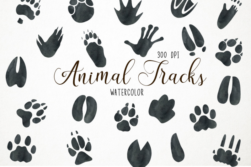 watercolor-animal-tracks-clipart-animal-tracks-clip-art-paw-print-cl