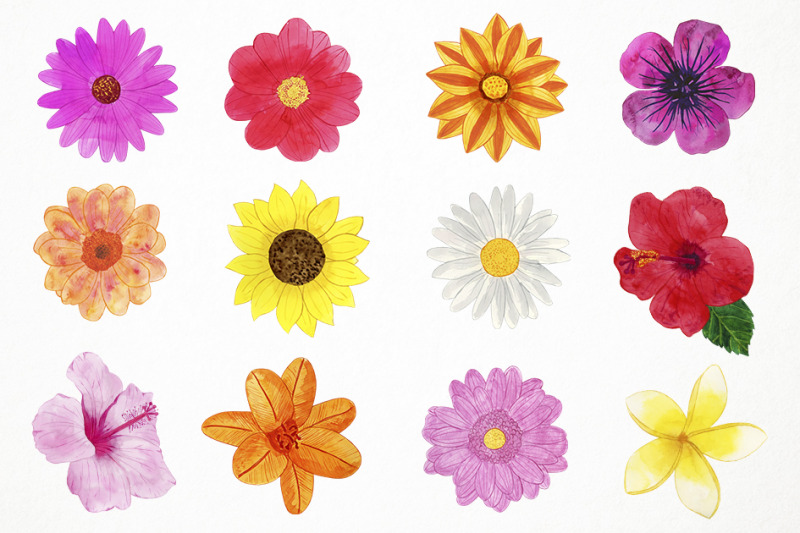 watercolor-spring-flowers-clipart-spring-flowers-clip-art