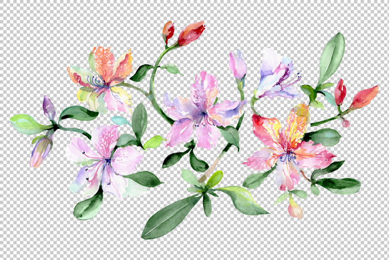 bouquet-breath-of-love-watercolor-png