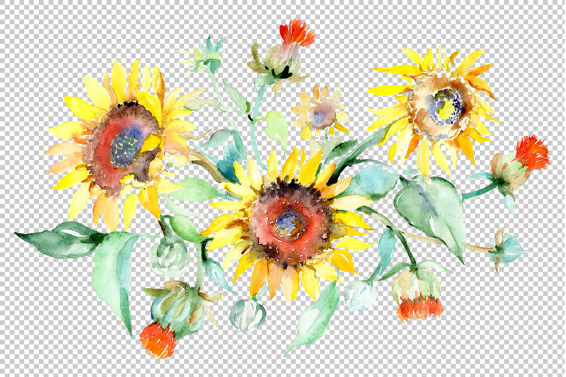 bouquet-sunflower-field-yellow-watercolor-png