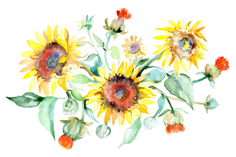 bouquet-sunflower-field-yellow-watercolor-png