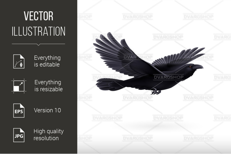 black-raven