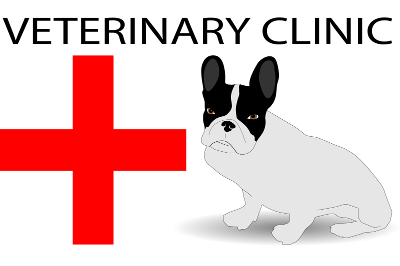 veterinary-clinic