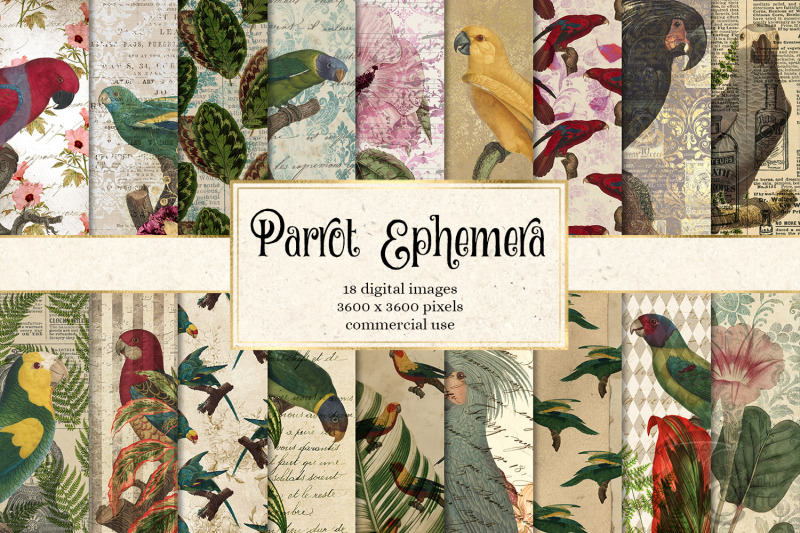 parrot-ephemera-digital-paper
