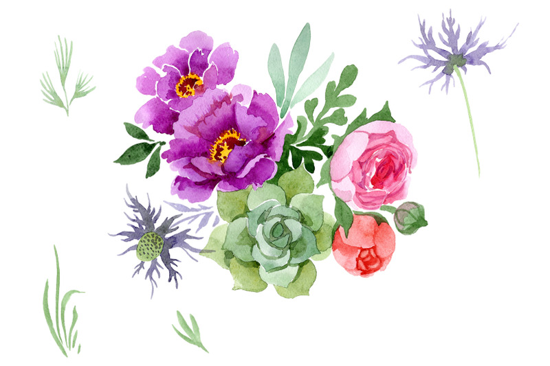 peonies-paradise-purple-watercolor-png