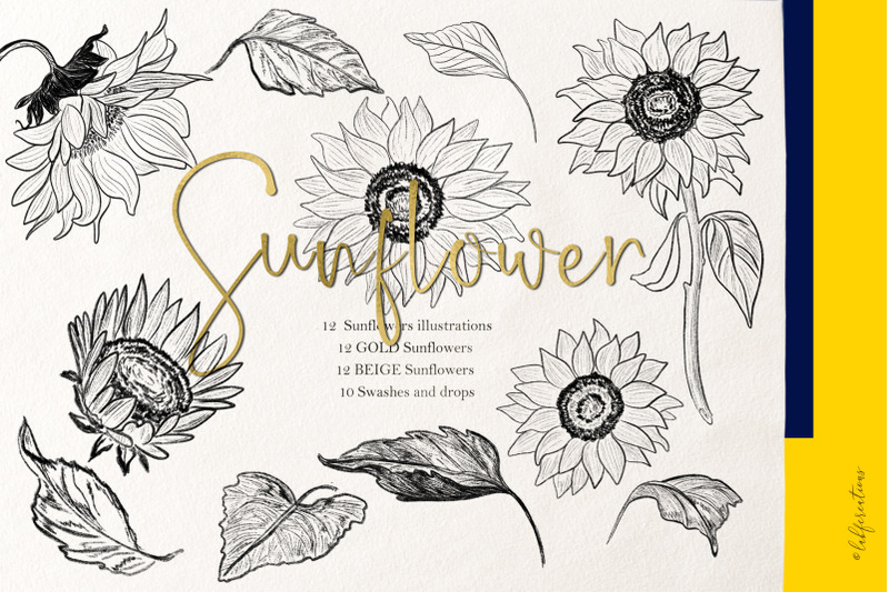 sunflower-sketch-outline-graphics